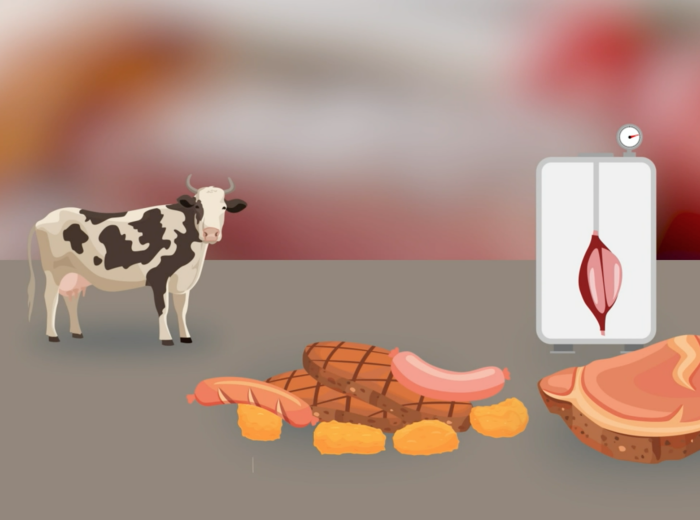Screenshot Reportage over kweekvlees van ABE na aanvraag verkoop door Aleph Farms