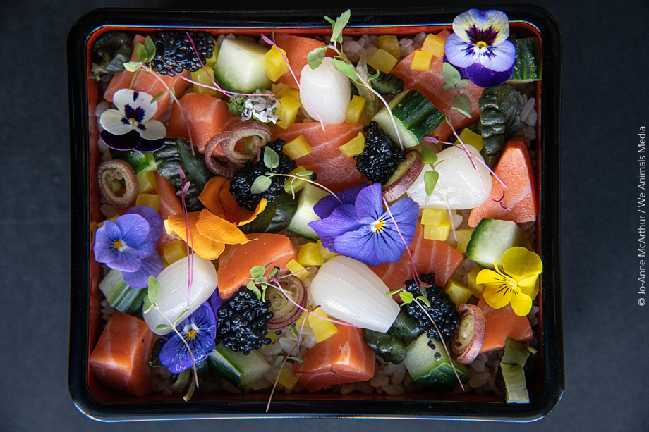 Cultivated salmon, created by WildType, in a dish of rice, vegetables and flowers, by Chef Jun Sog.