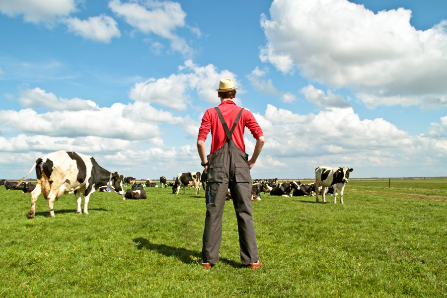 farmer